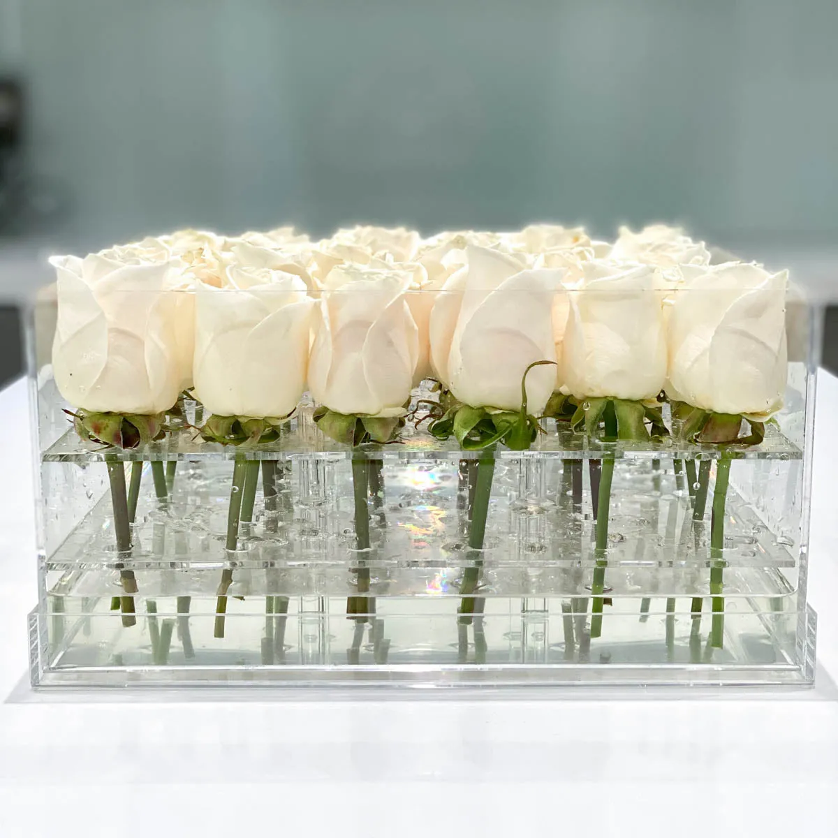 36 Roses