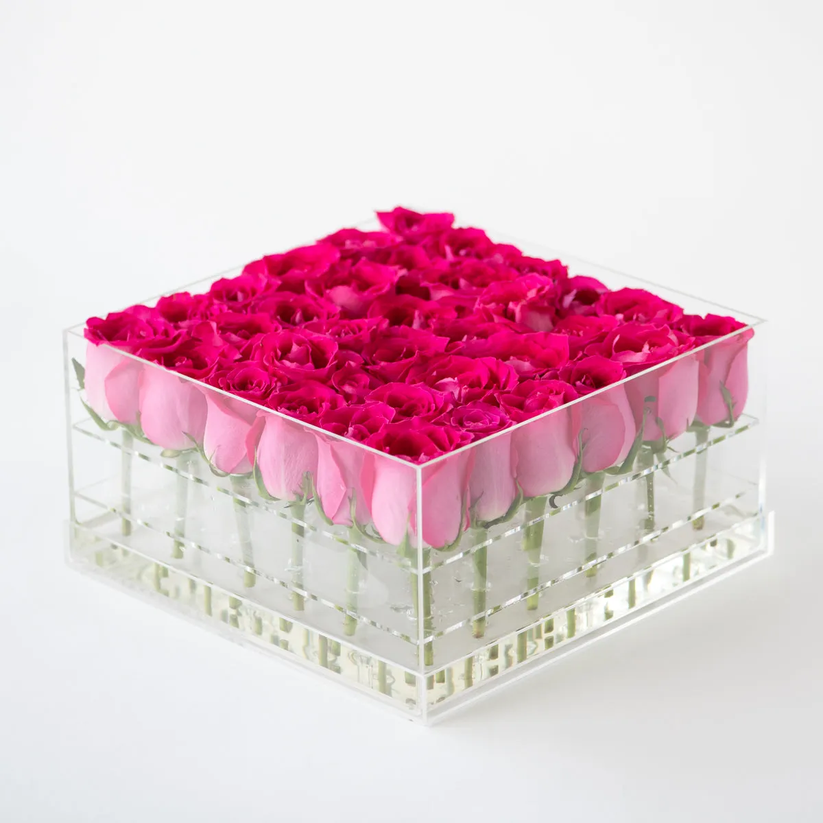 36 Roses