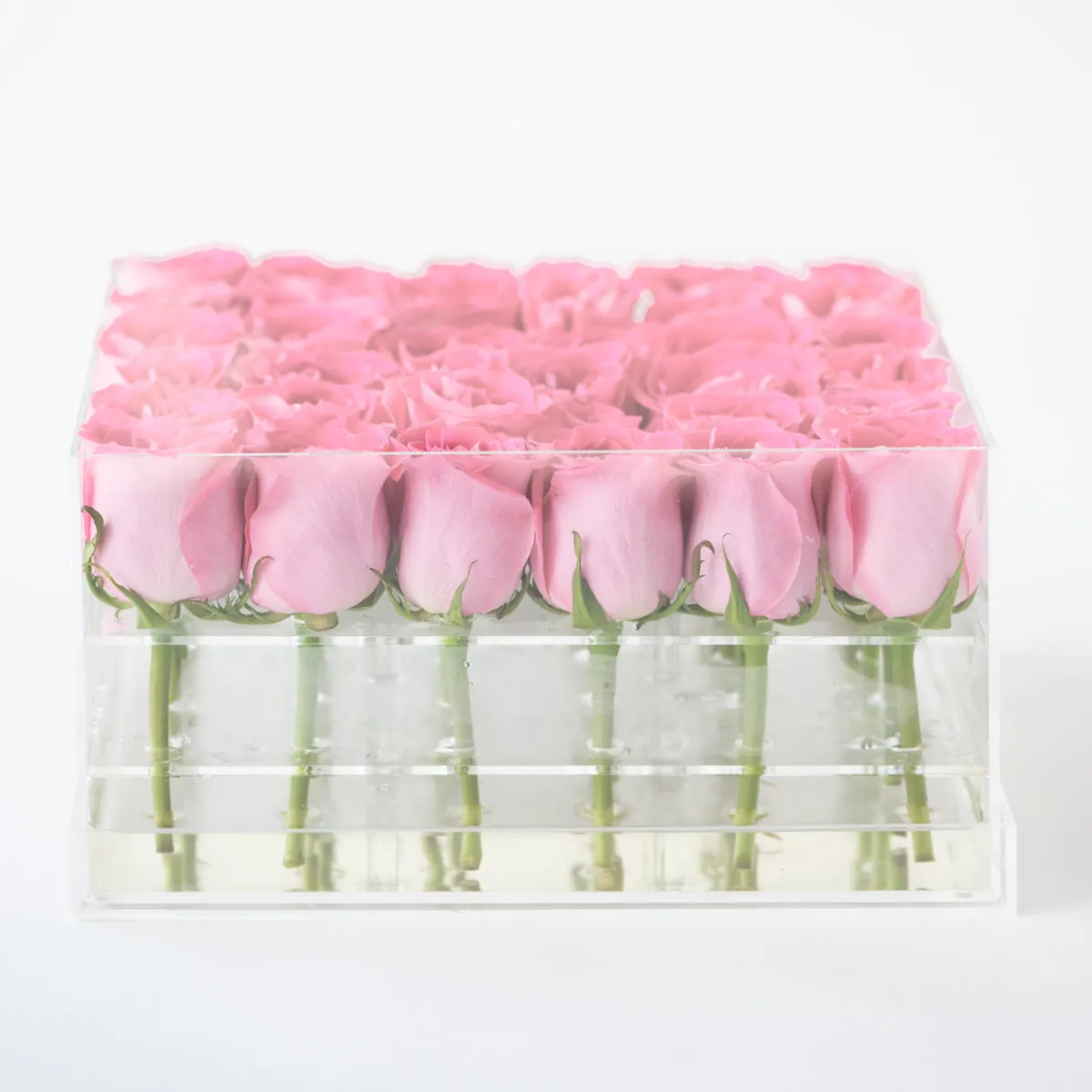 36 Roses