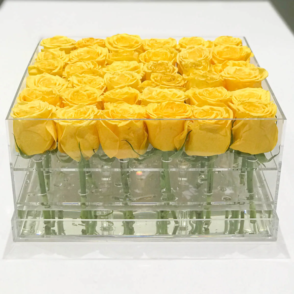 36 Roses
