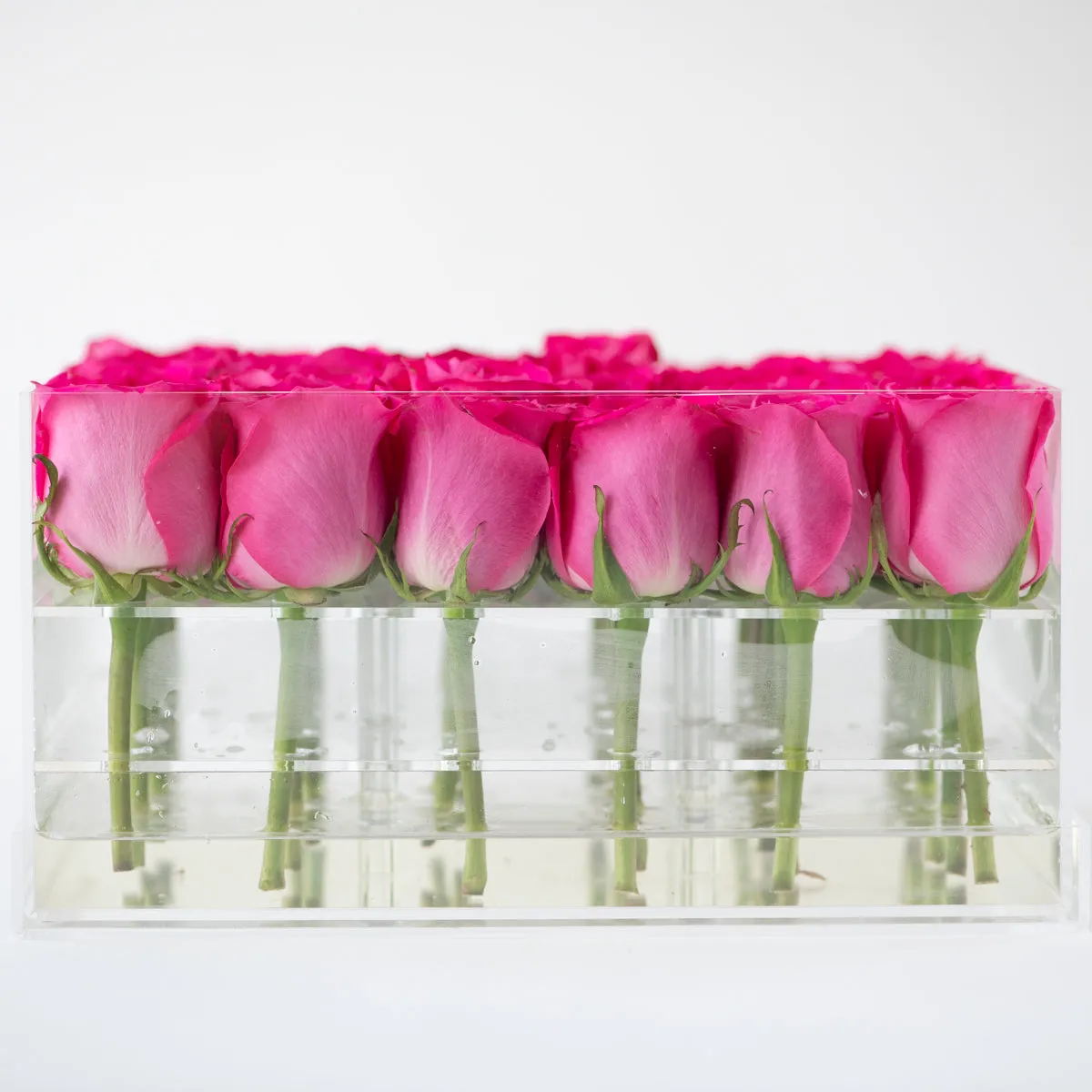 36 Roses