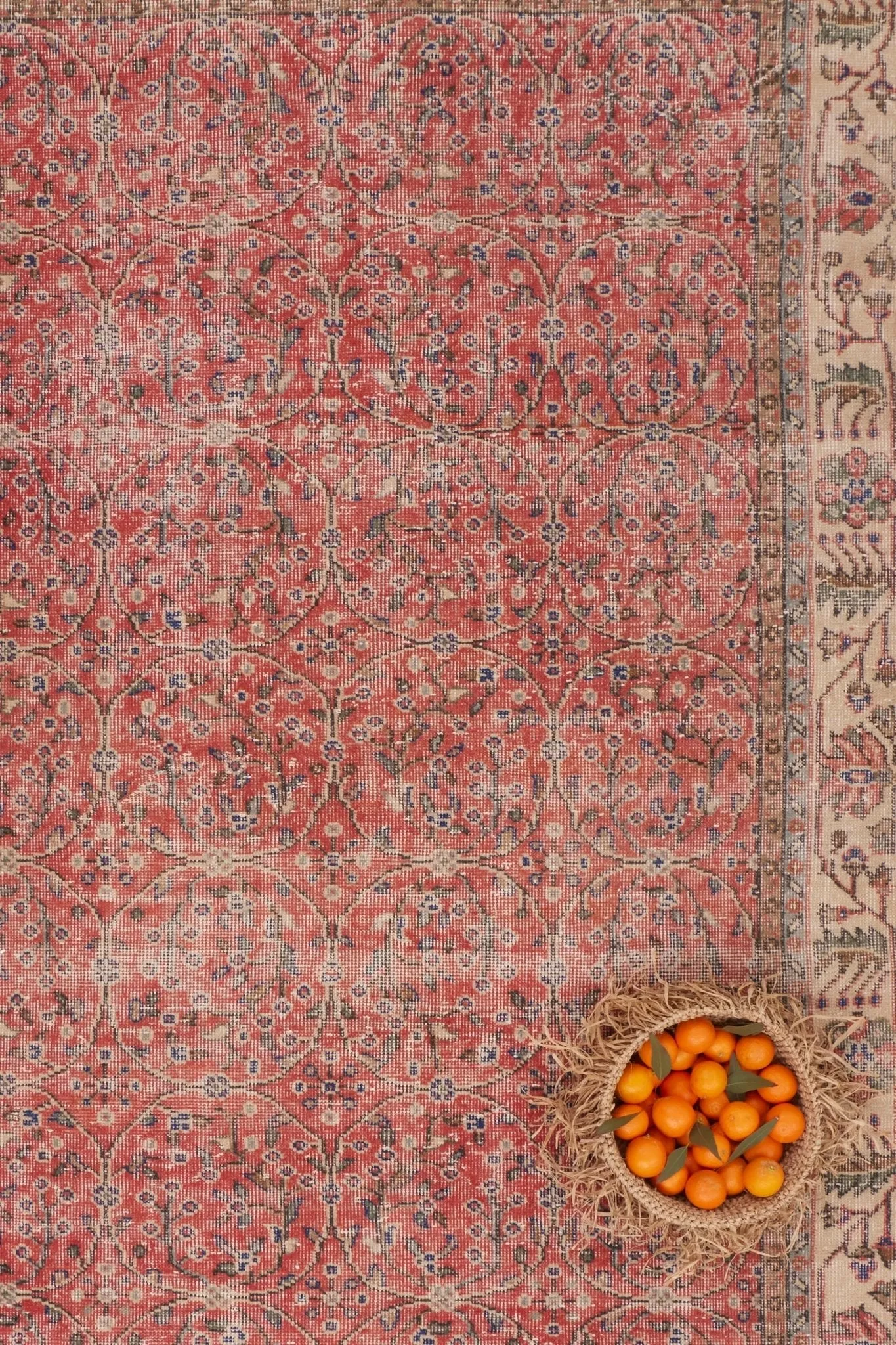 'Adelaide' Vintage Turkish Distressed Area Rug- 5'5'' x 9'1''
