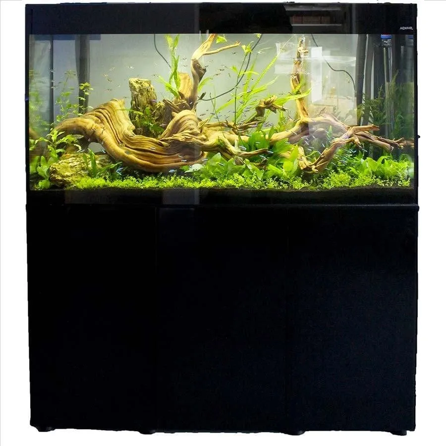 Aquael Glossy 80 Complete Set - 80 x 35 x 54cm (125L) - Black