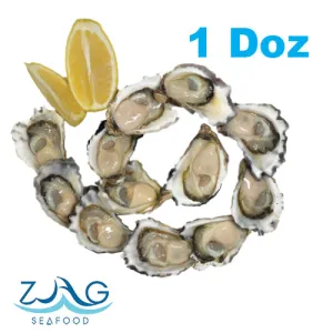 Australian Sydney Rock Oysters