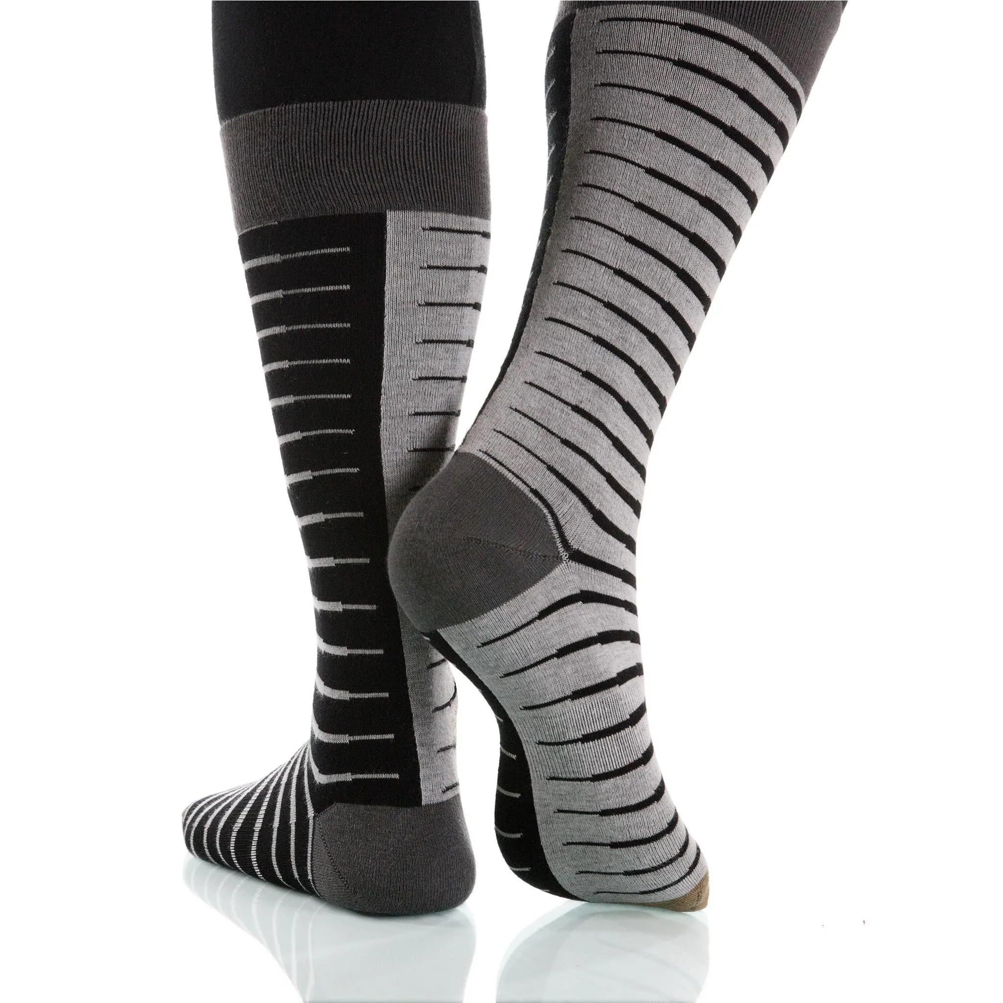 Black & White Zebra