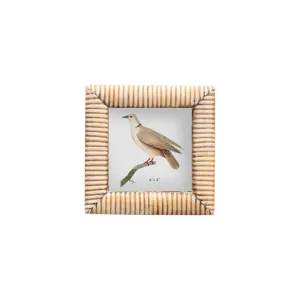 Bone Frame, 4 x 4