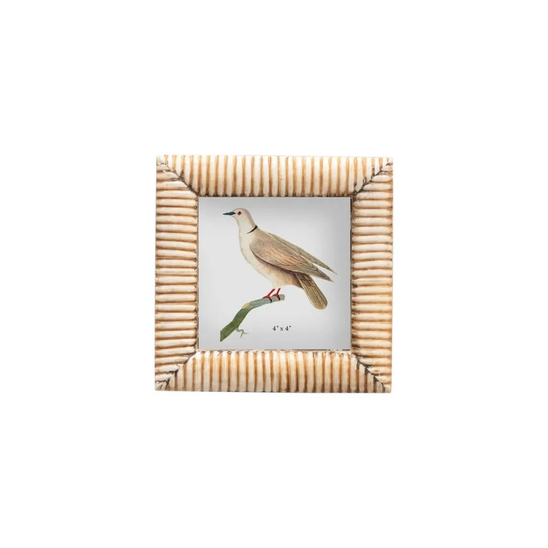 Bone Frame, 4 x 4