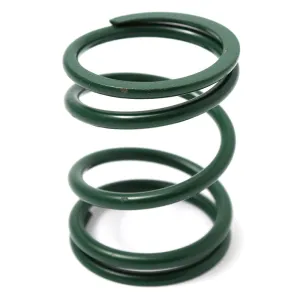 BRP/CAN-AM Kawasaki Primary Spring