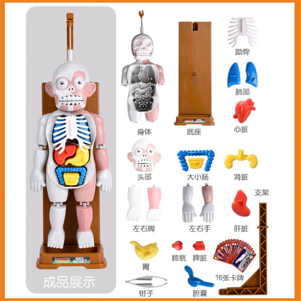 Children Cartoon Tricky Fun Simulation Doll Game Figure Toy Decoration for Kids Human body model