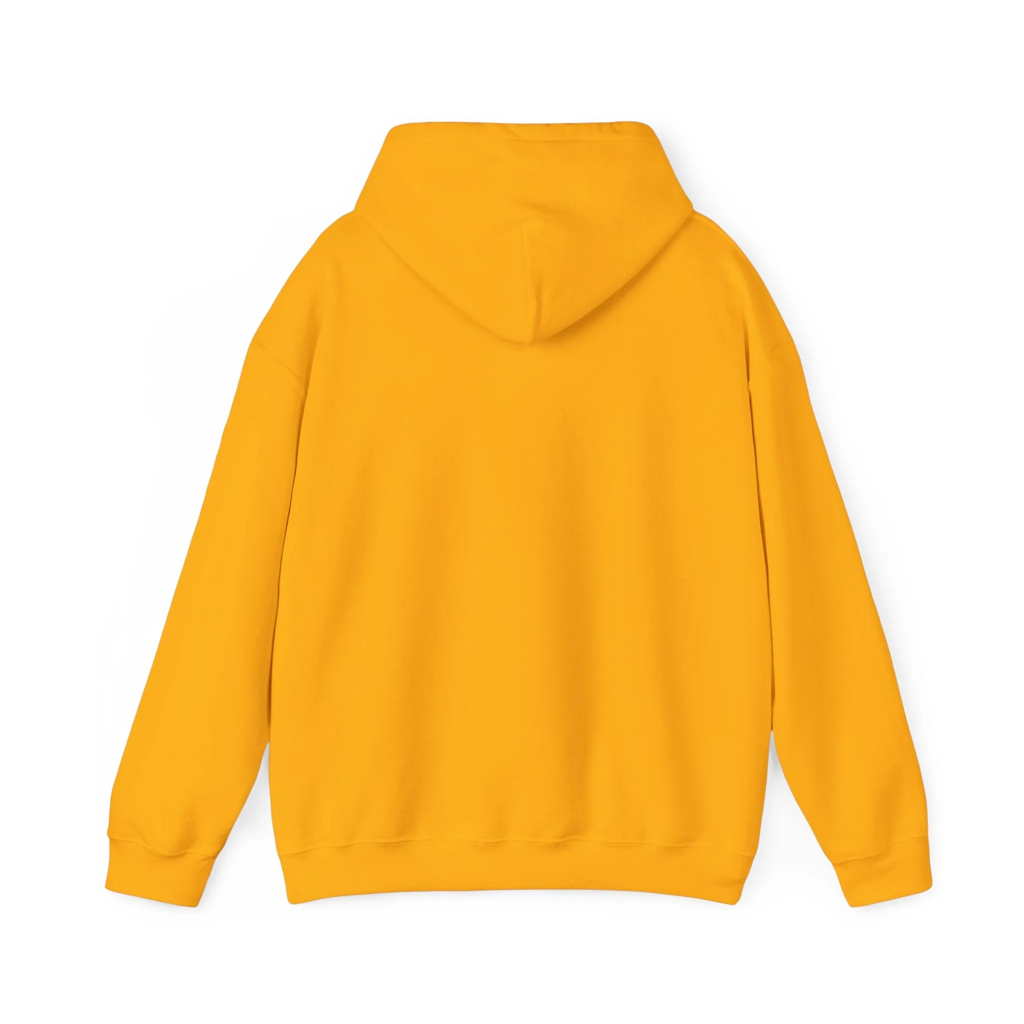 Cool Teddy Bear Hoodie