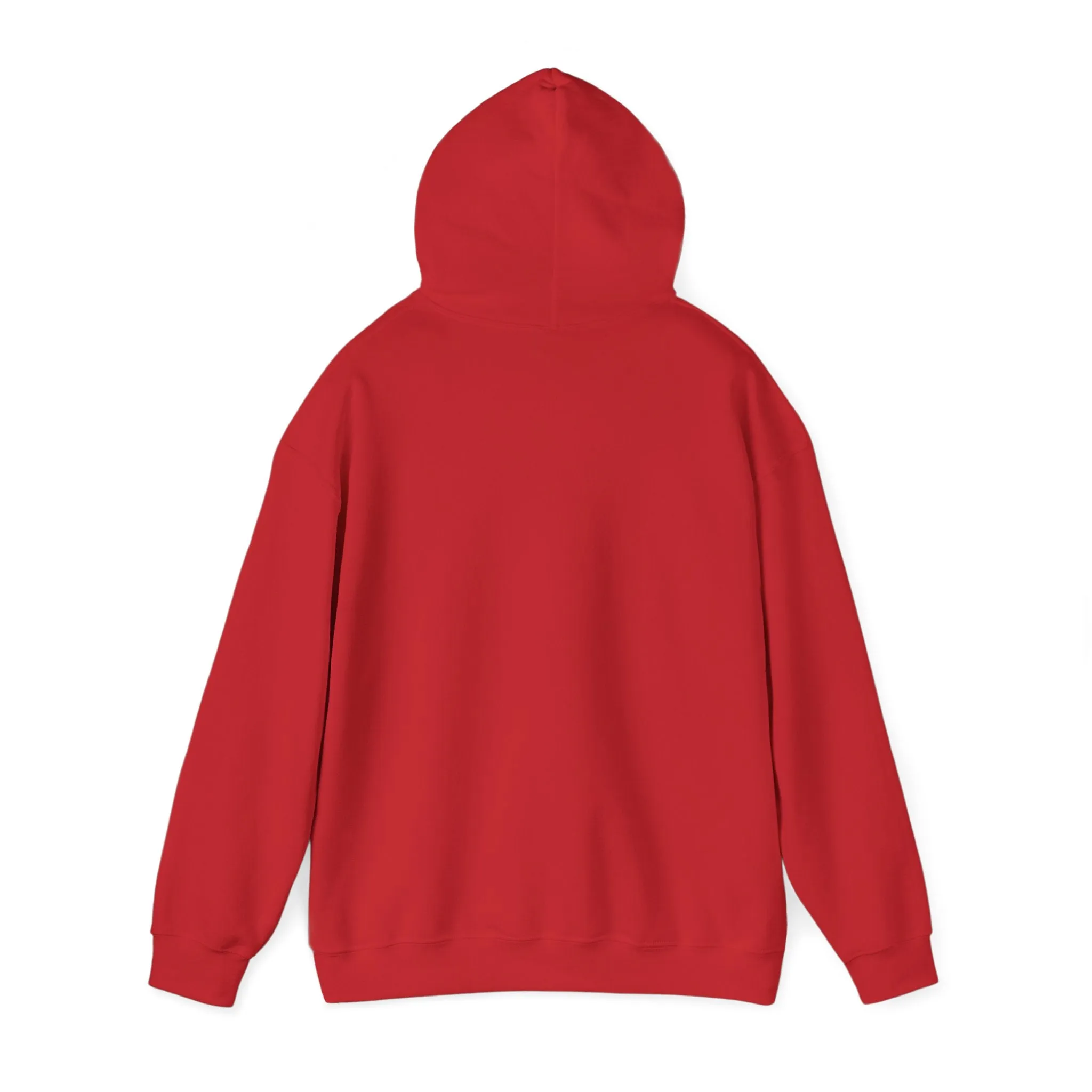 Cool Teddy Bear Hoodie