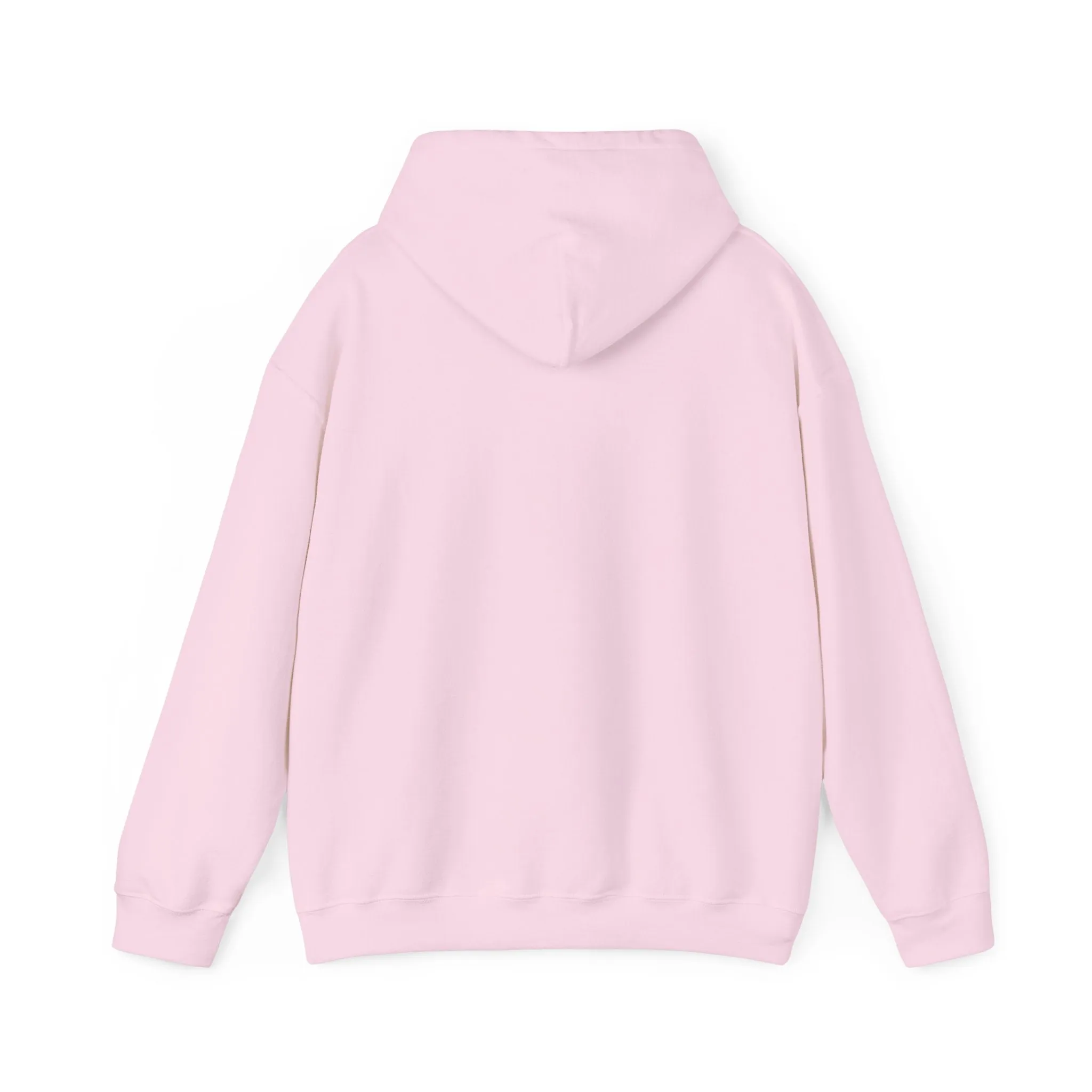 Cool Teddy Bear Hoodie