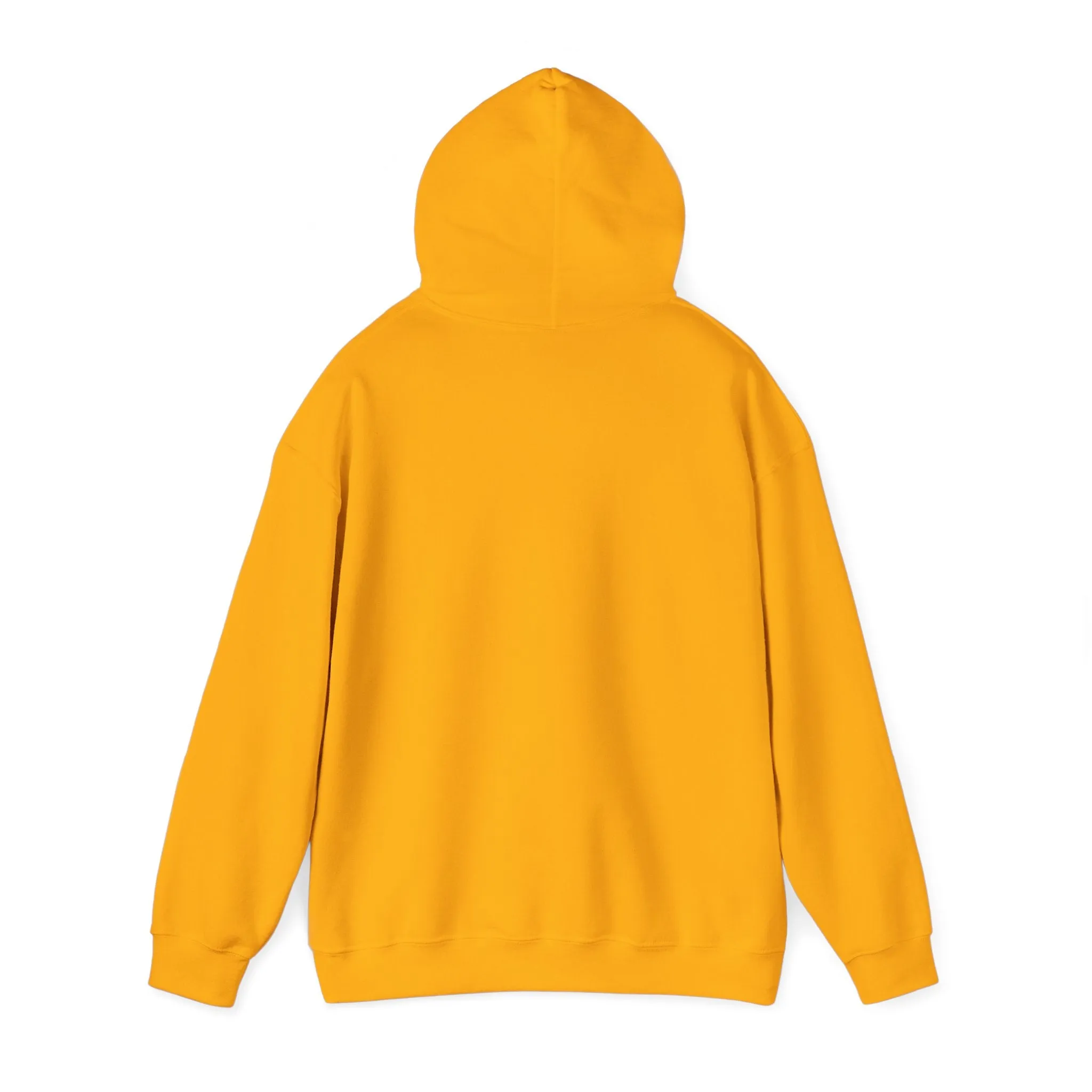 Cool Teddy Bear Hoodie