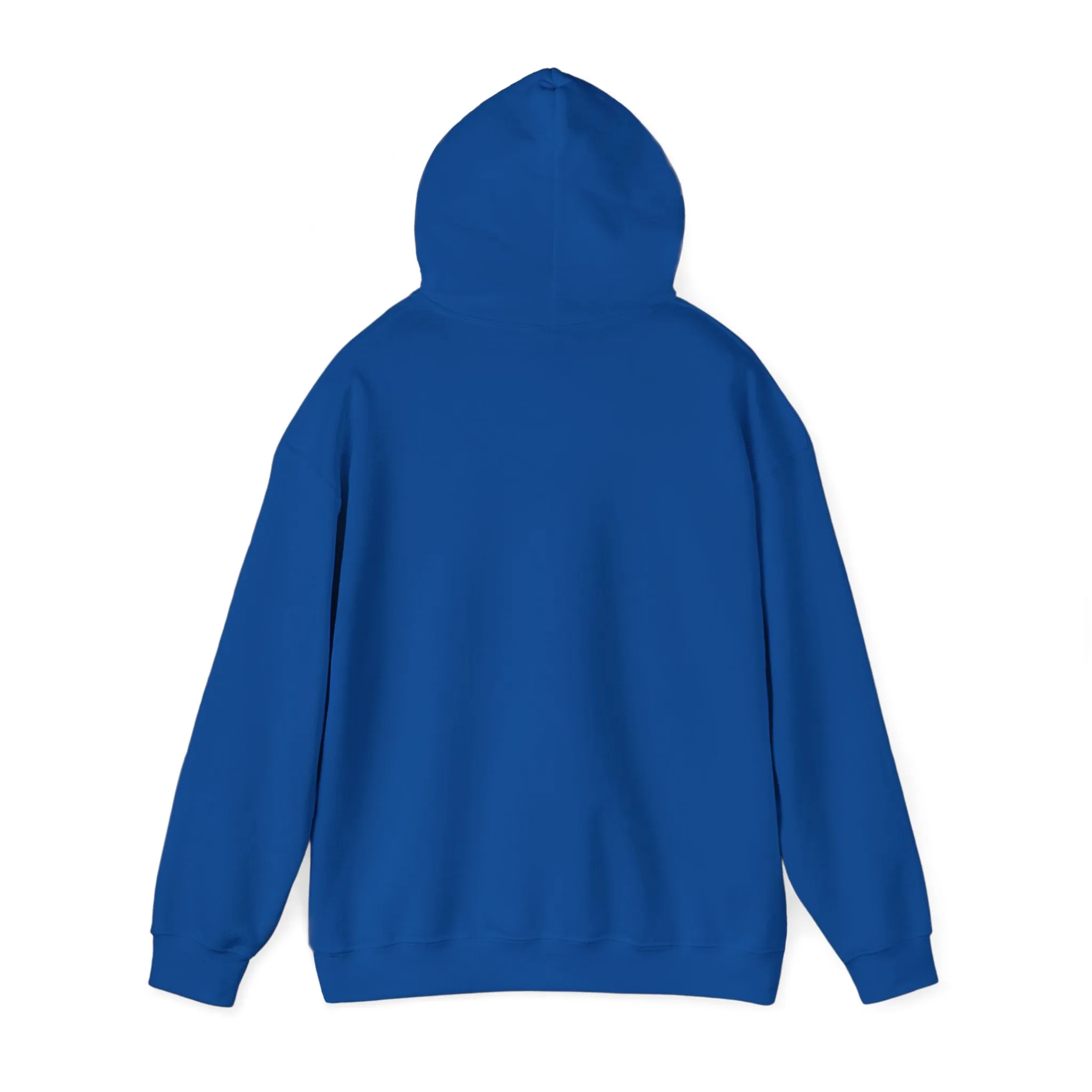 Cool Teddy Bear Hoodie