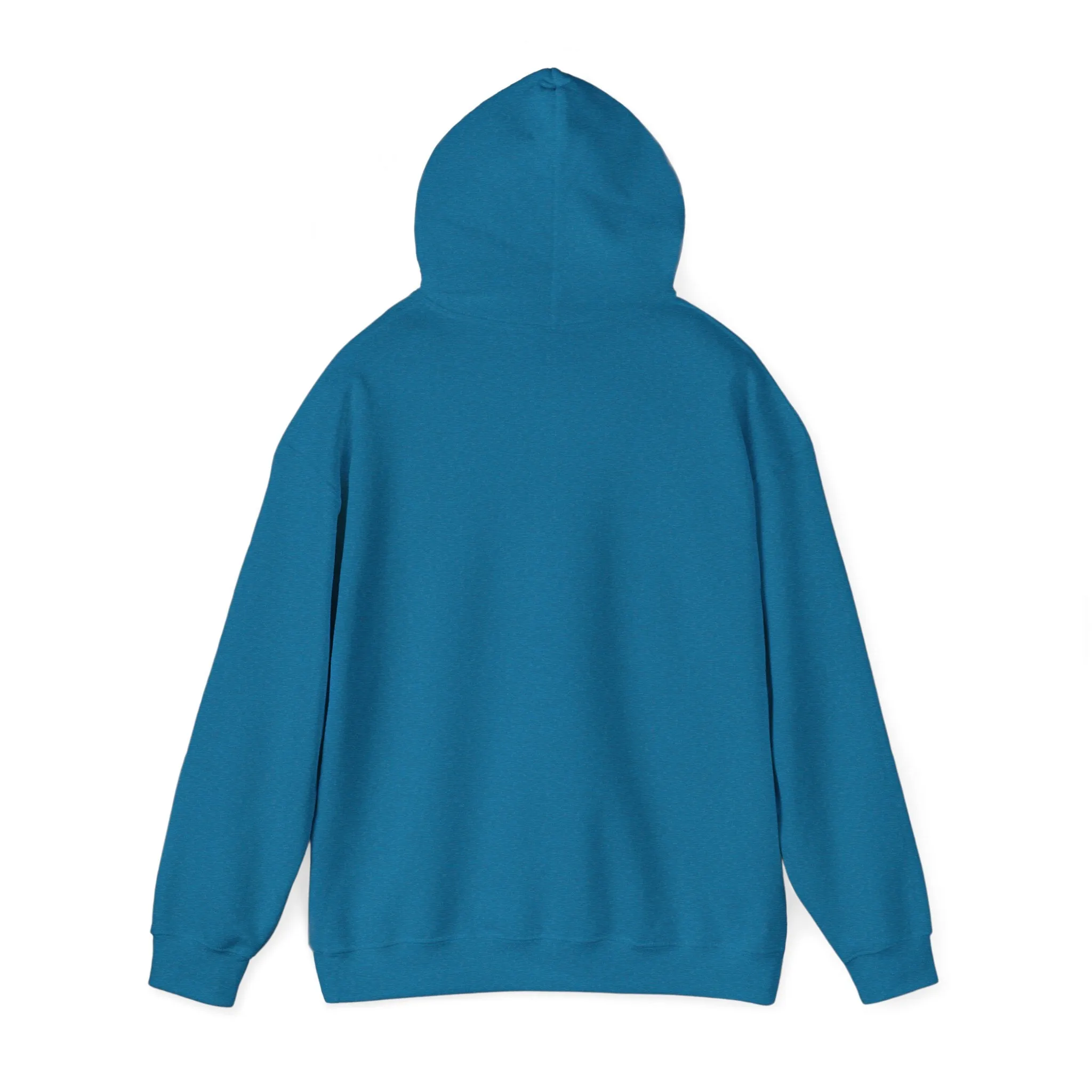 Cool Teddy Bear Hoodie