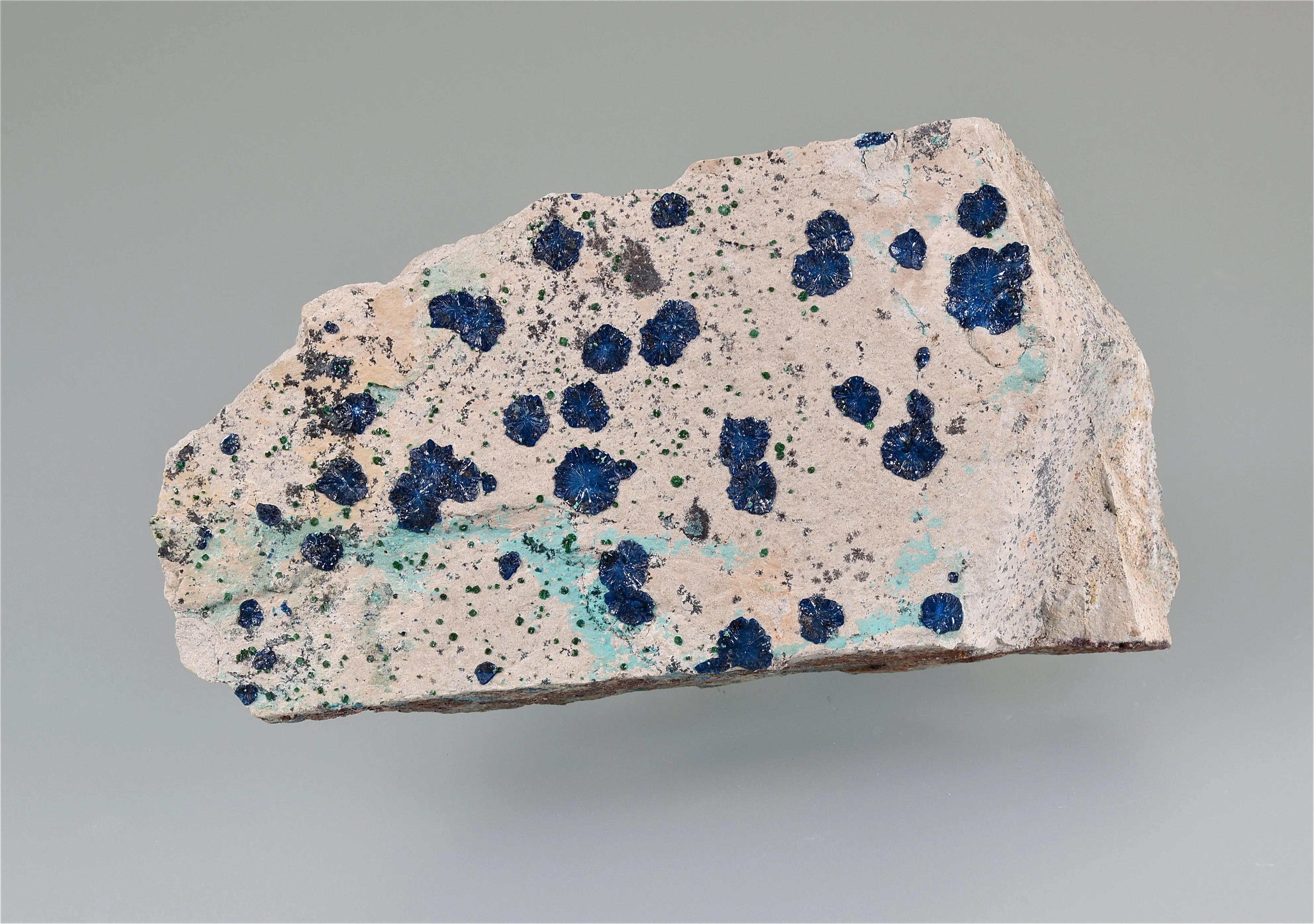 Cornetite, Star of the Congo Mine, Dubumbashi, Katanga, DRC Small cabinet 2.5 5 x 9.5 cm $45.