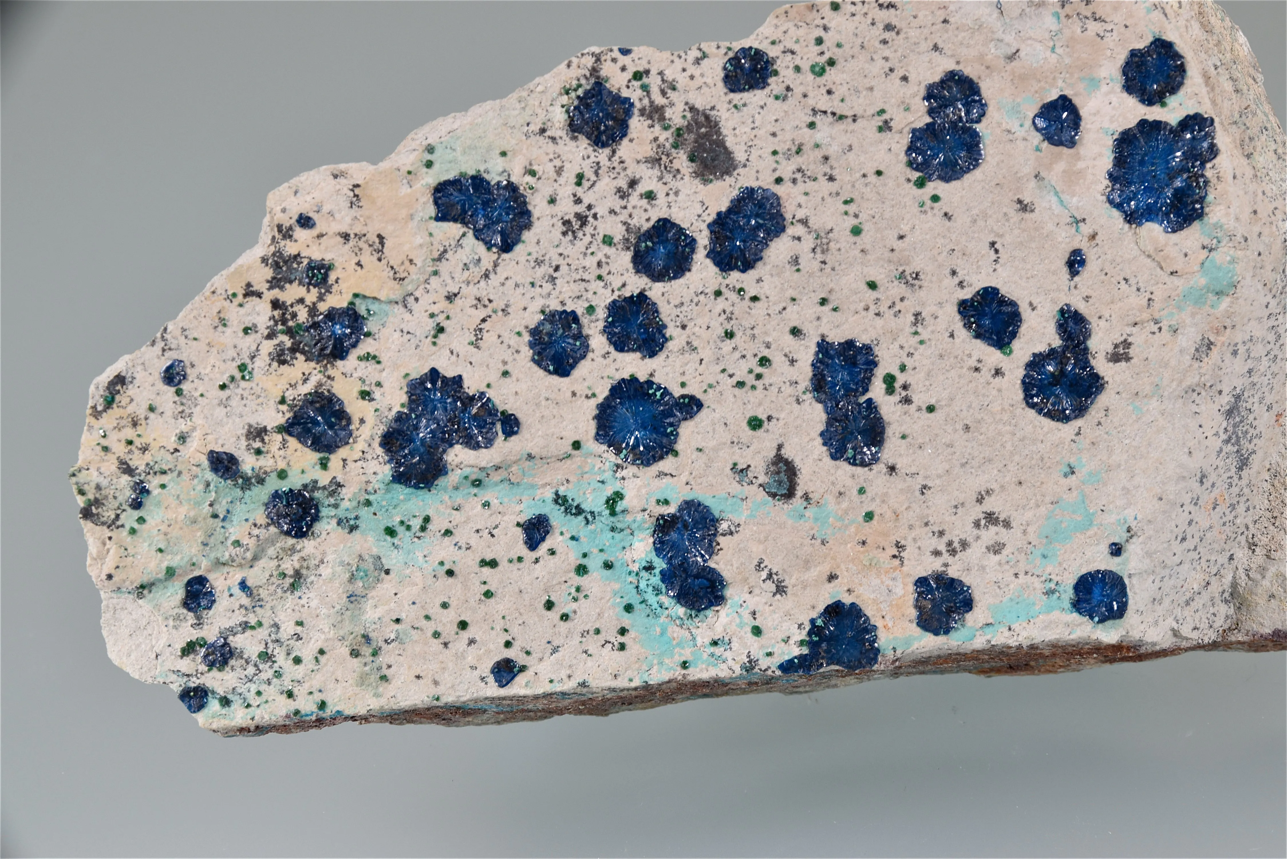 Cornetite, Star of the Congo Mine, Dubumbashi, Katanga, DRC Small cabinet 2.5 5 x 9.5 cm $45.