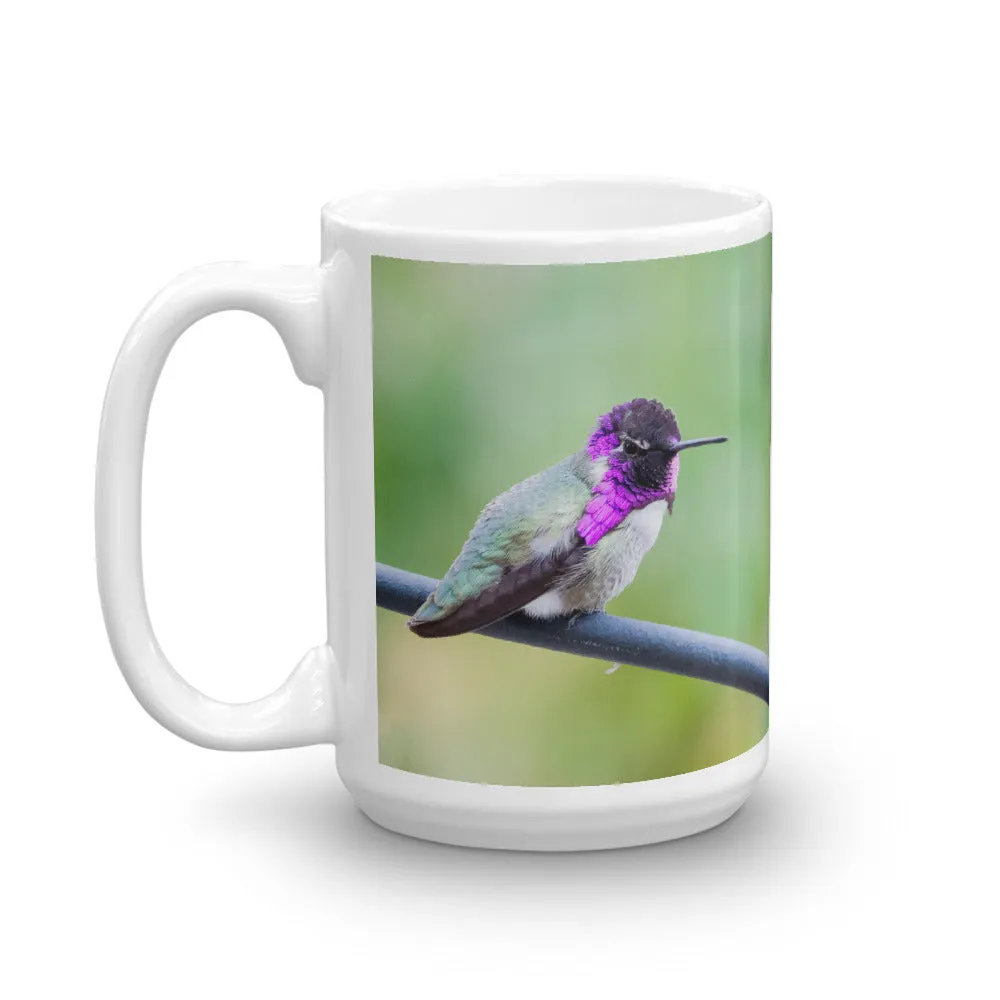 Costa Hummingbird Mug