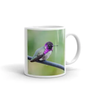 Costa Hummingbird Mug