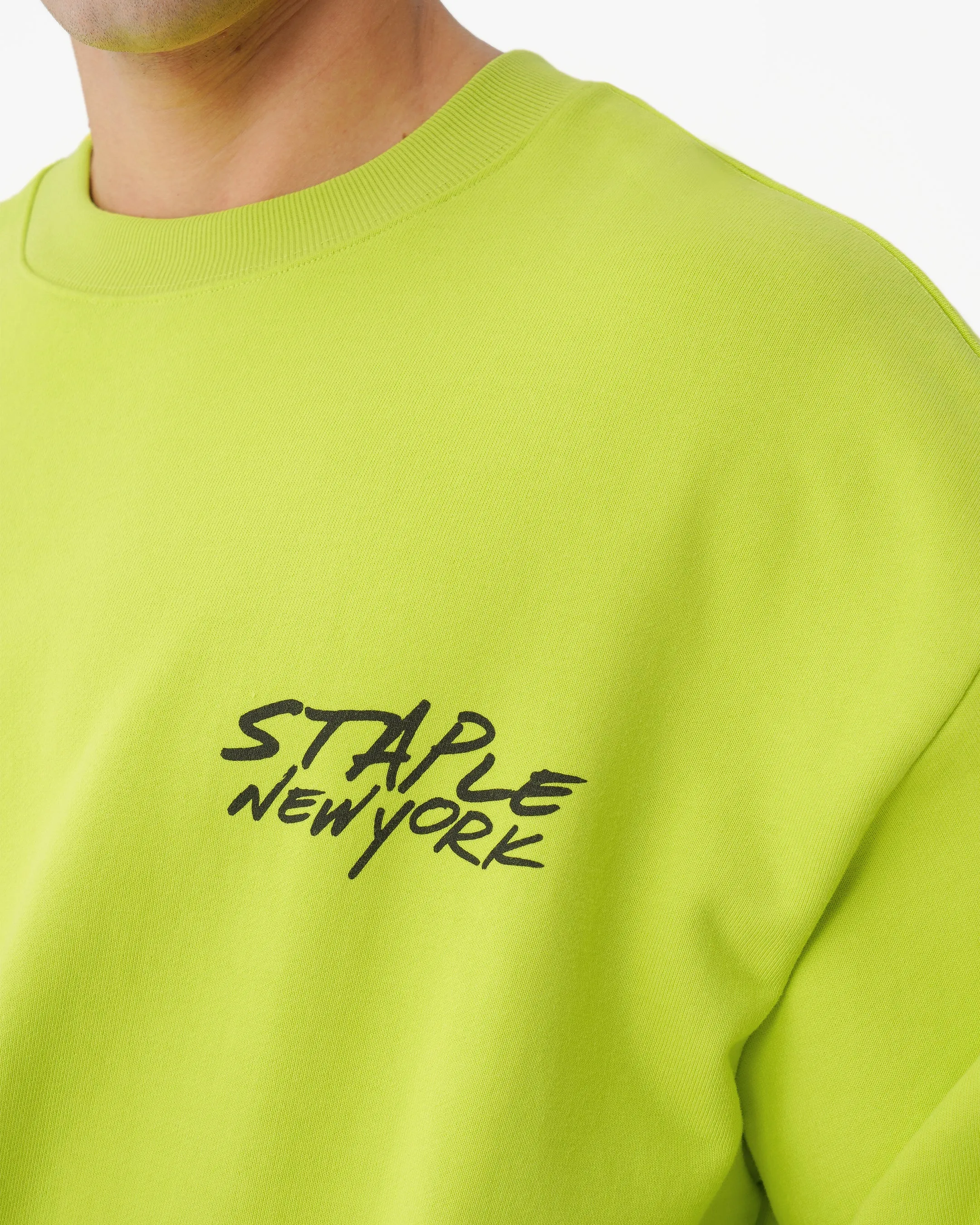Digital Pigeon Crewneck
