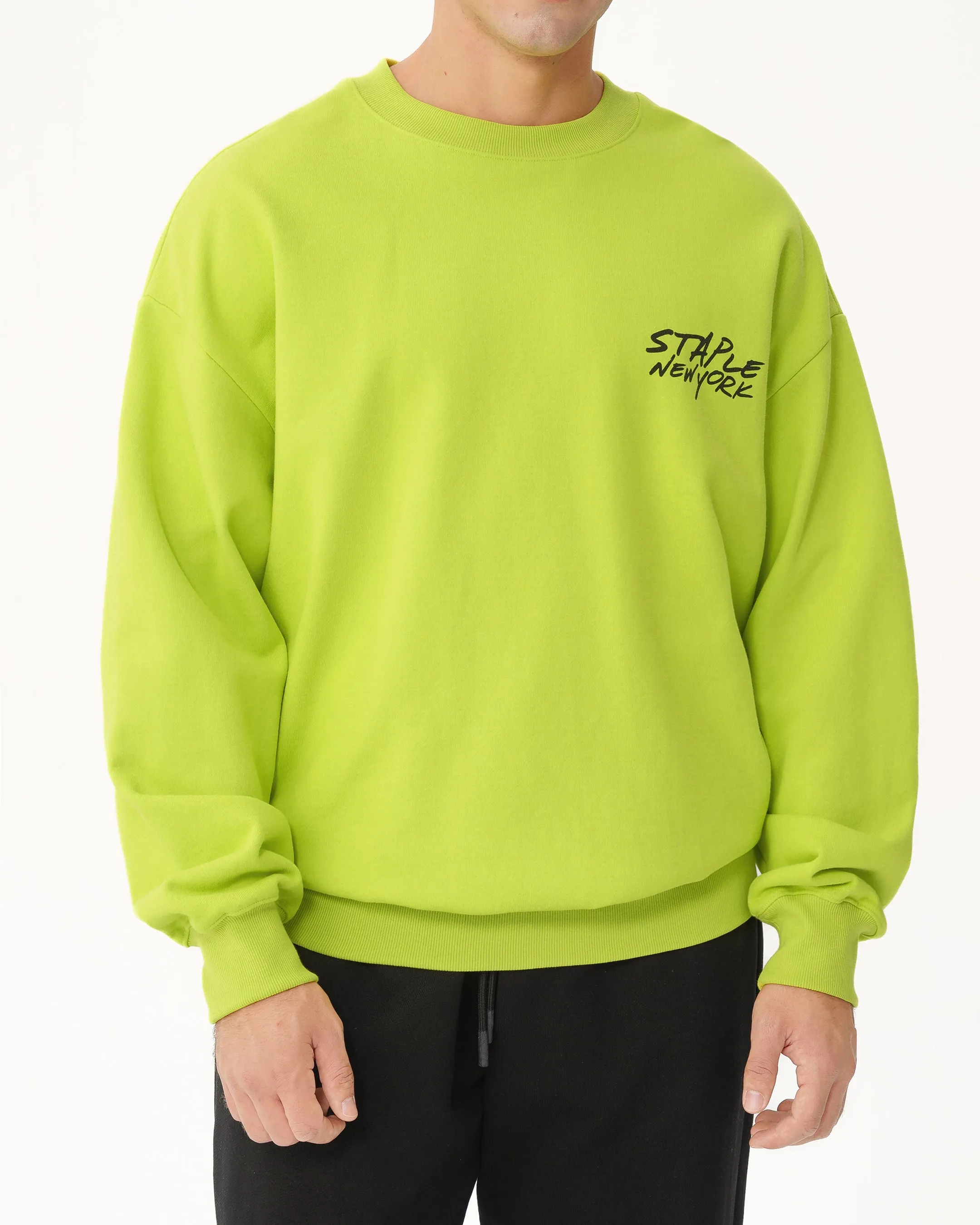Digital Pigeon Crewneck