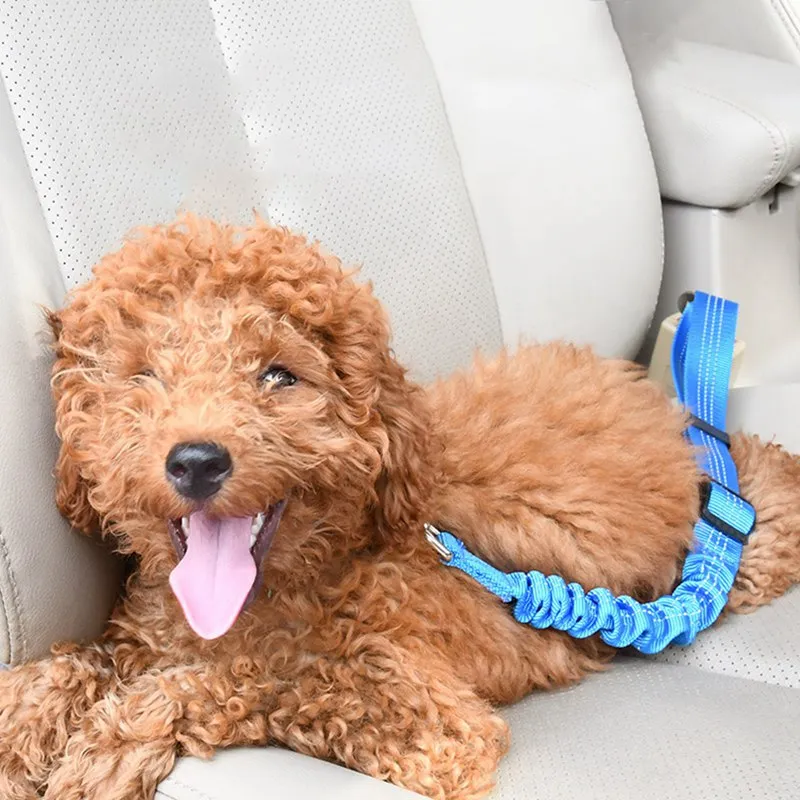 Elastic Reflective Safety Rope Traction Belt for Pet Dogs Supplies Car Seat red