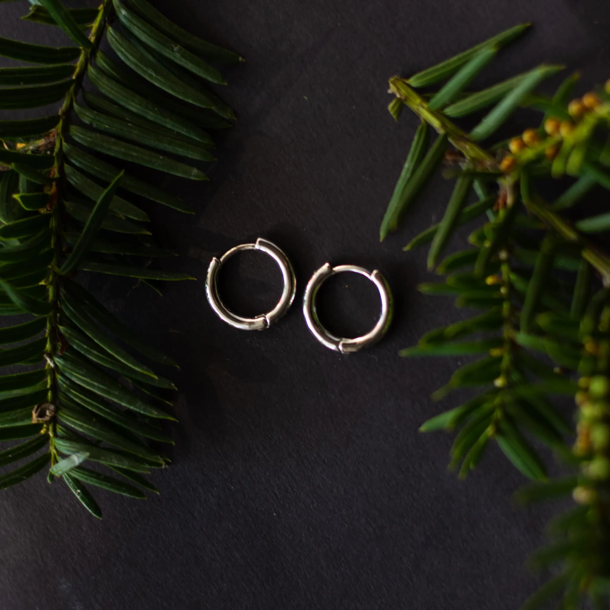 Everyday Hoop Earrings