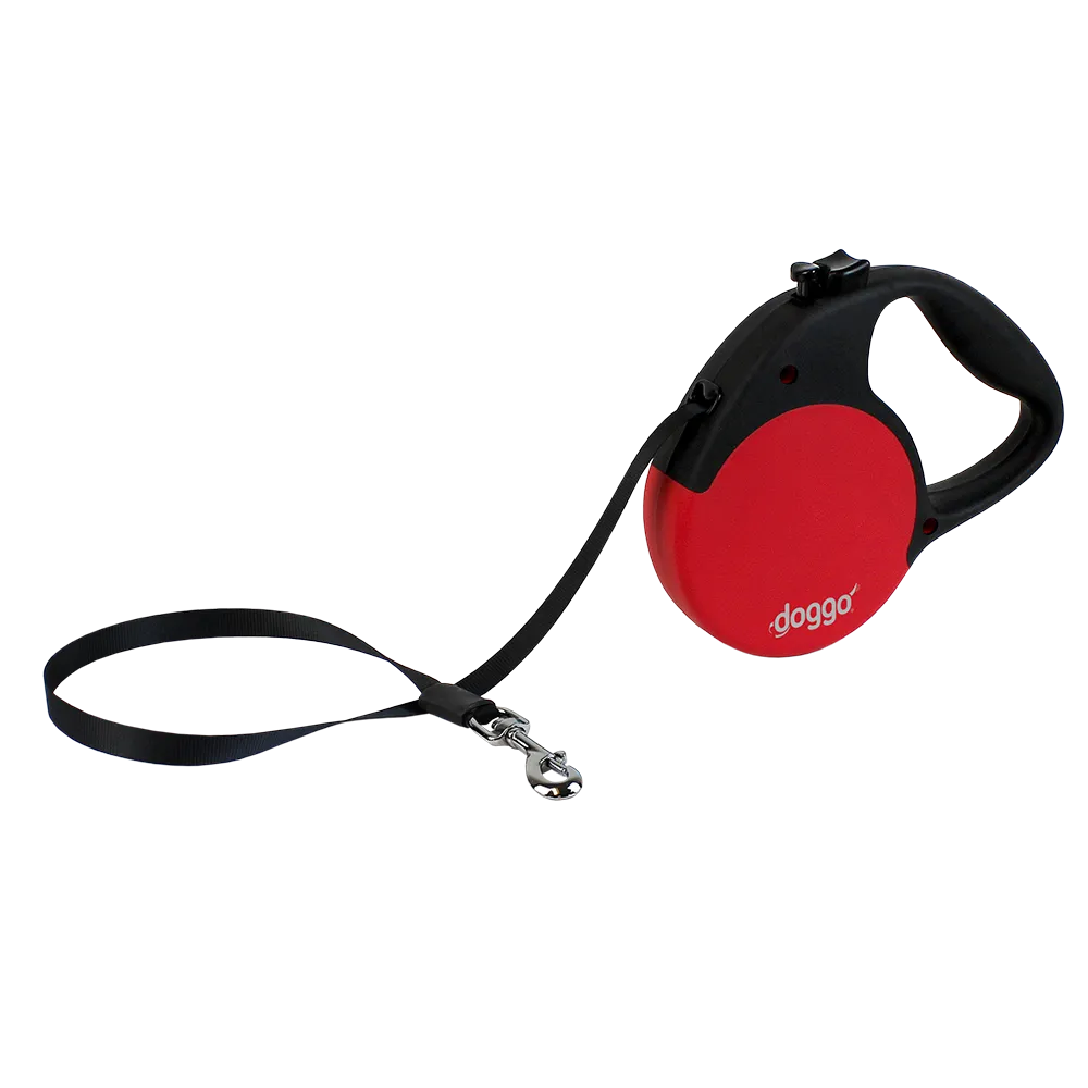 Everyday Retractable Leash