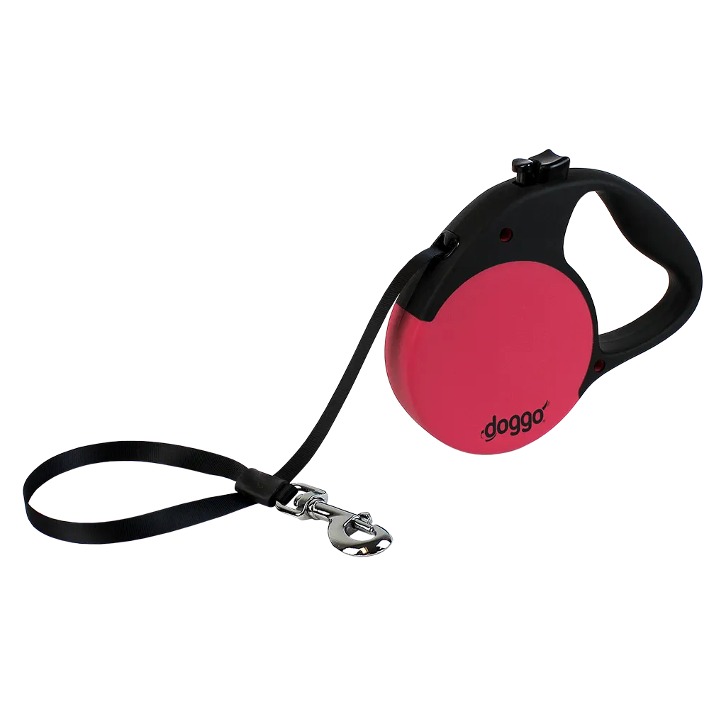 Everyday Retractable Leash