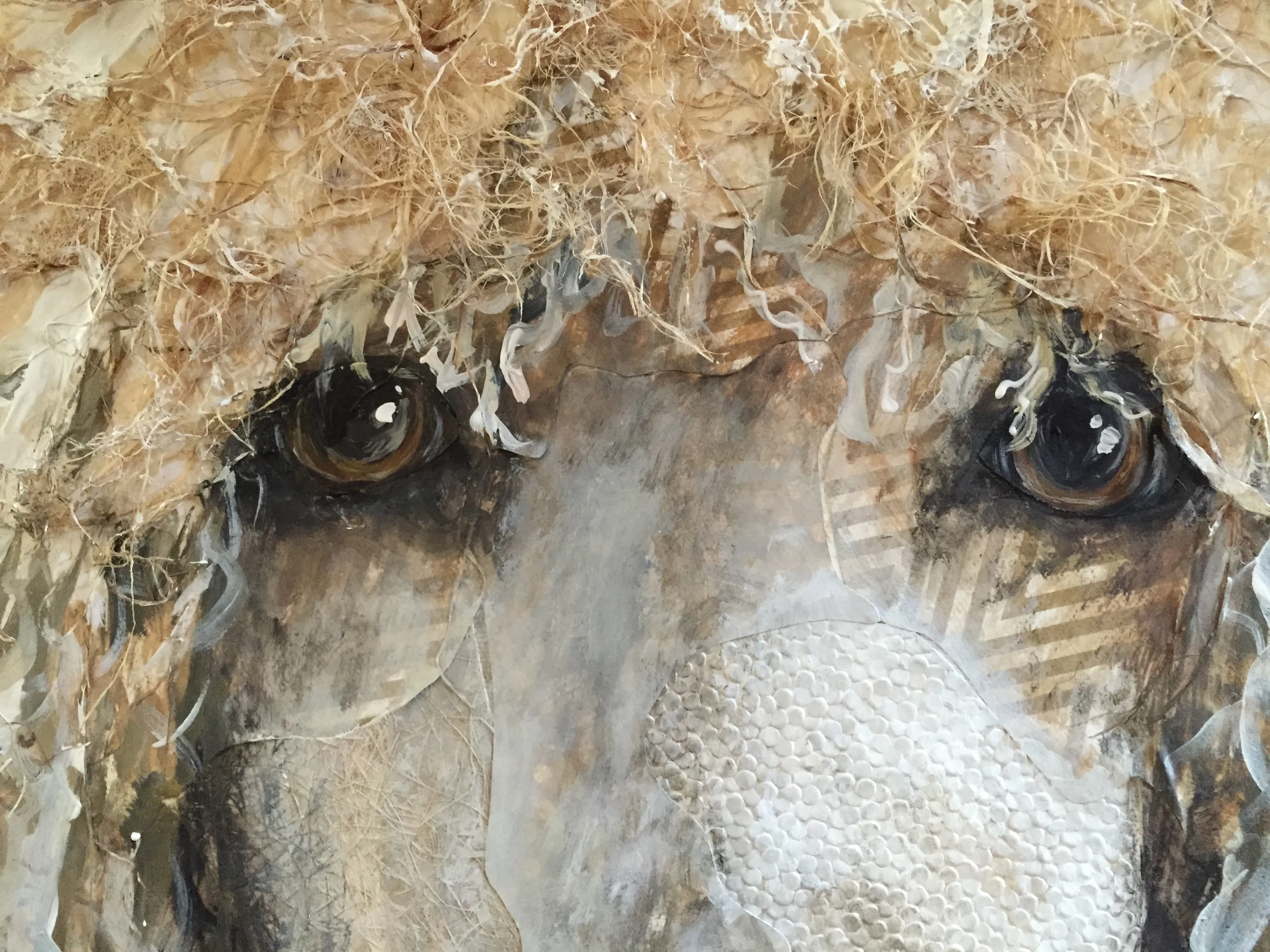 Fiona May - Standard Poodle