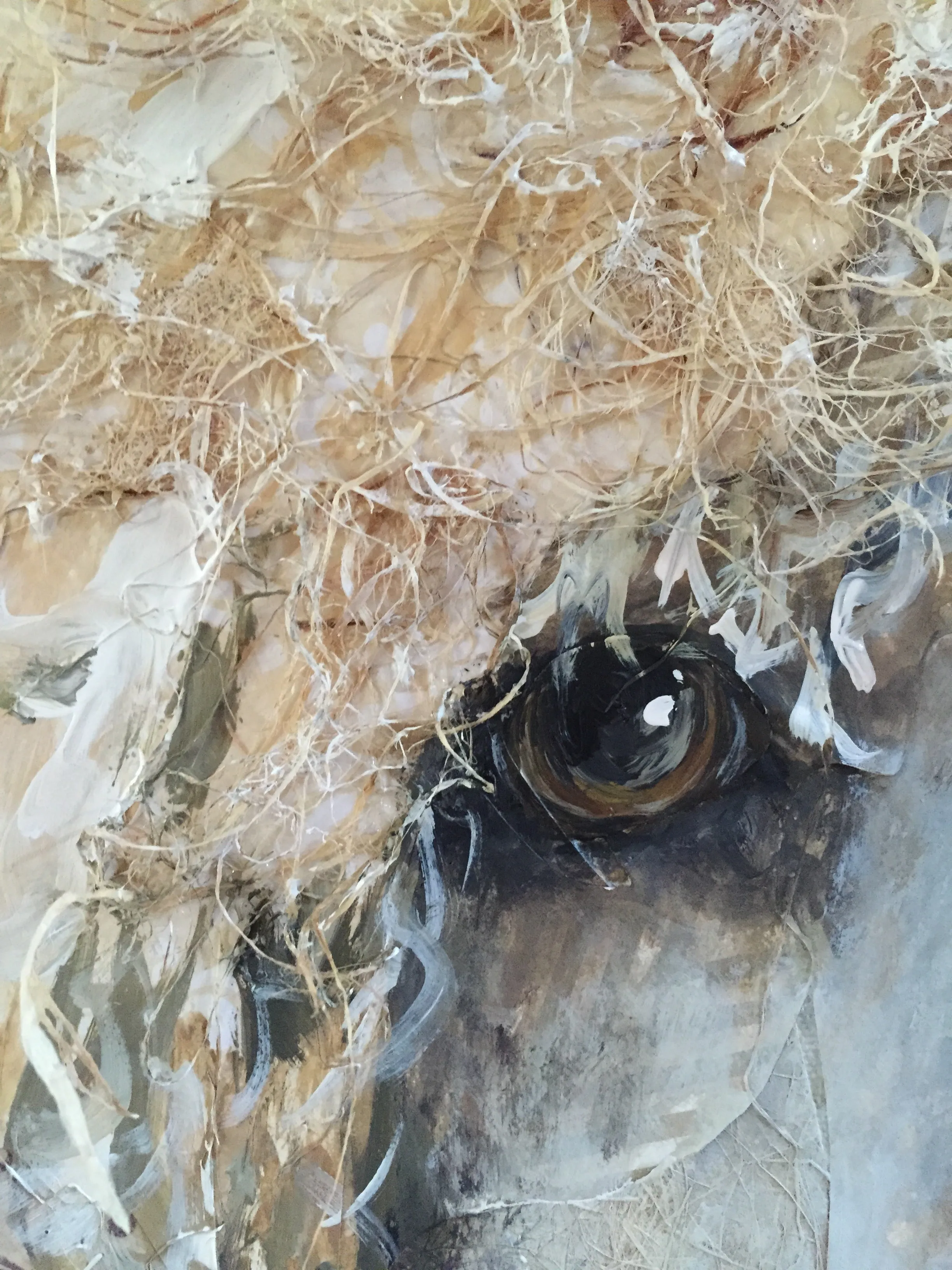 Fiona May - Standard Poodle