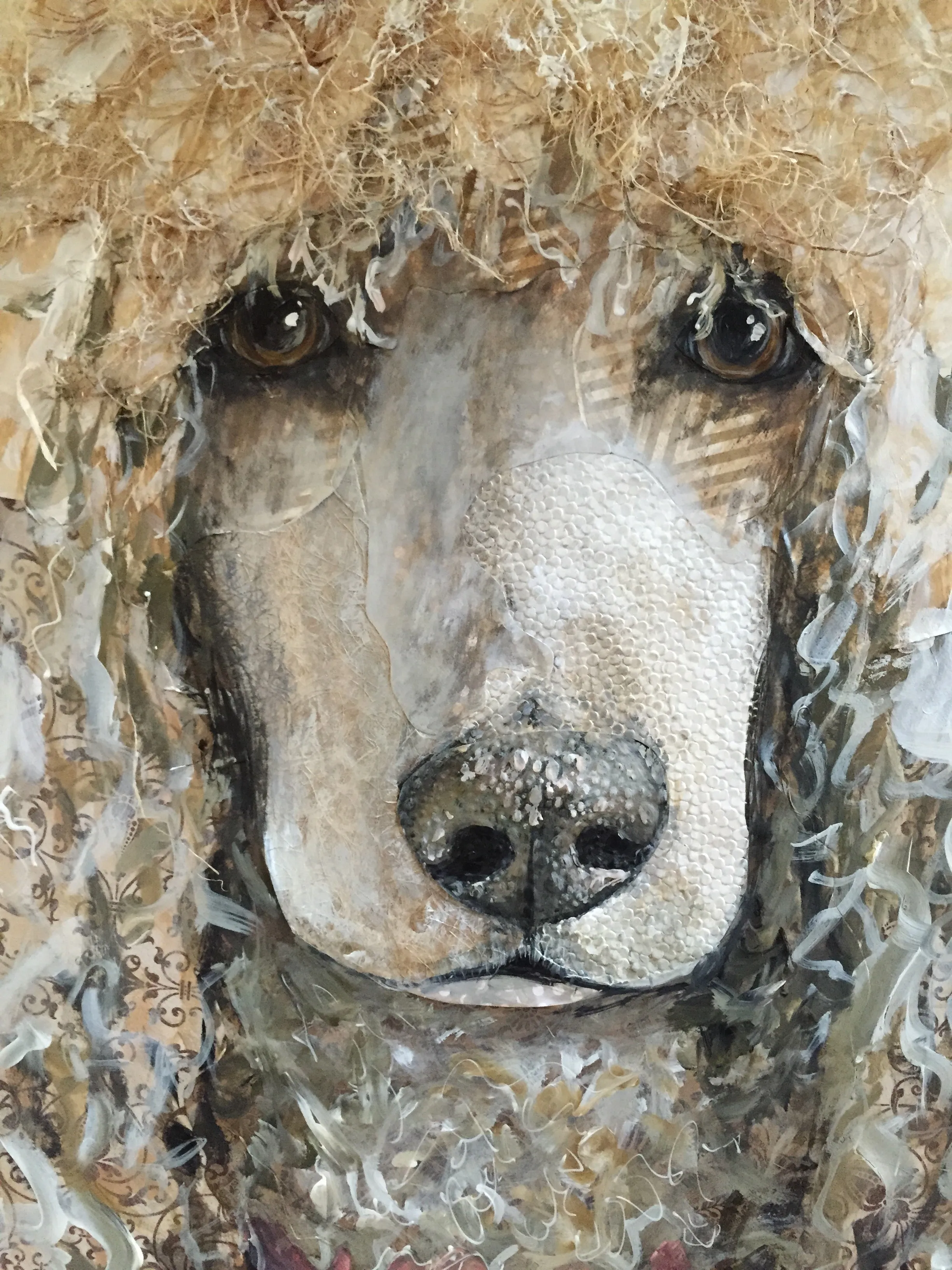 Fiona May - Standard Poodle