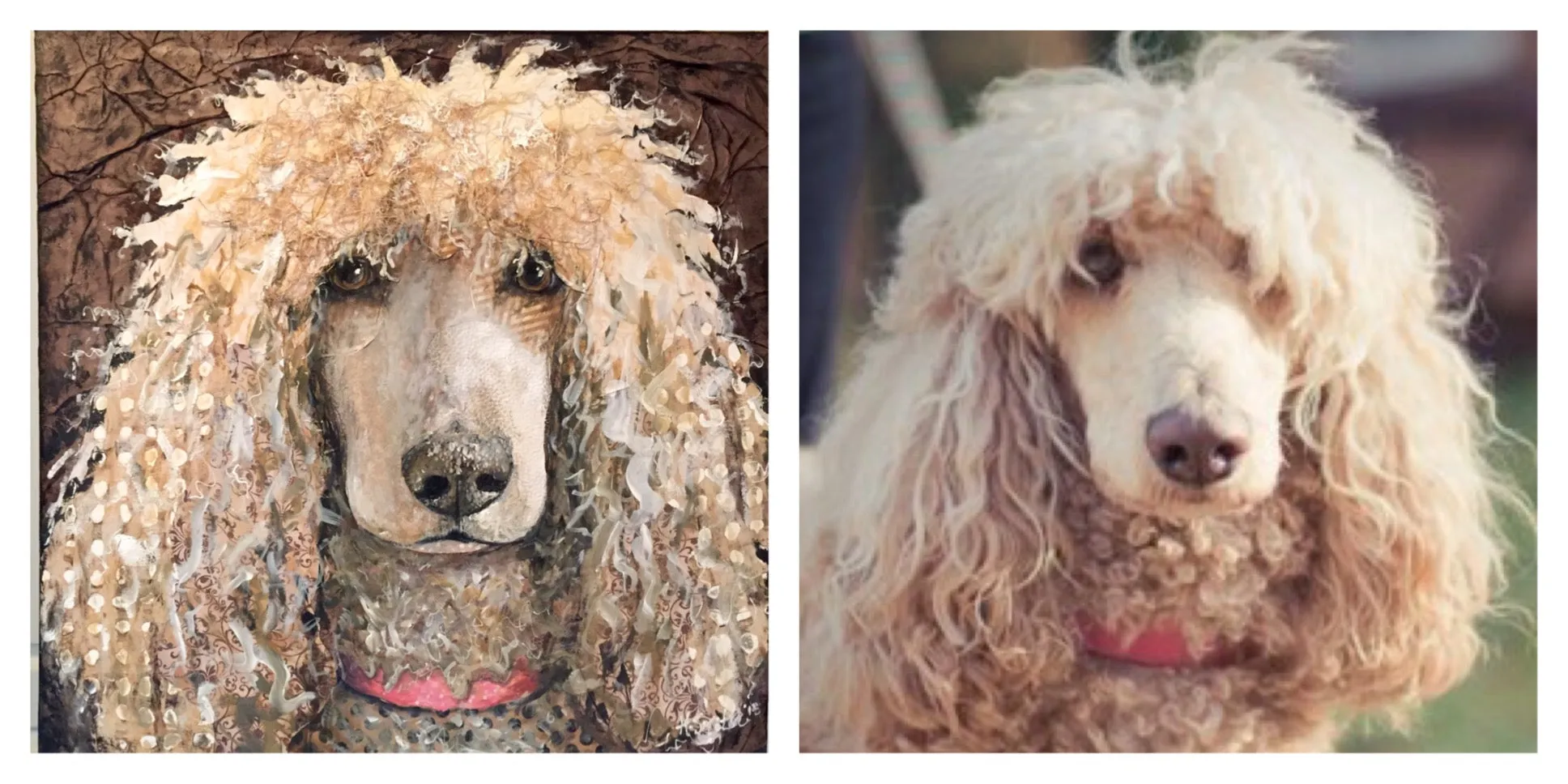 Fiona May - Standard Poodle