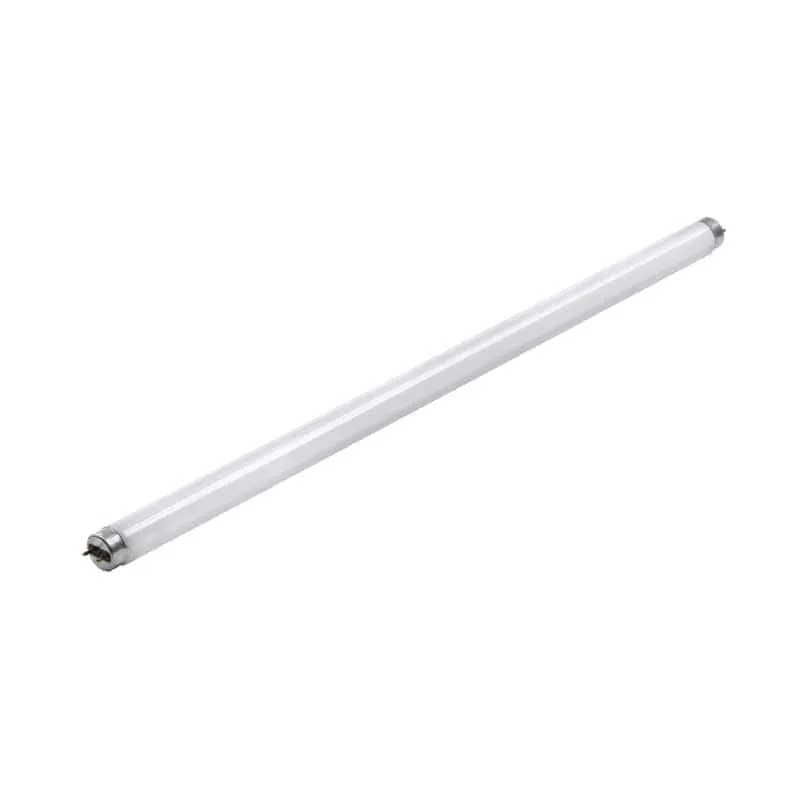 Fluorescent Bulb Cool White 2ft