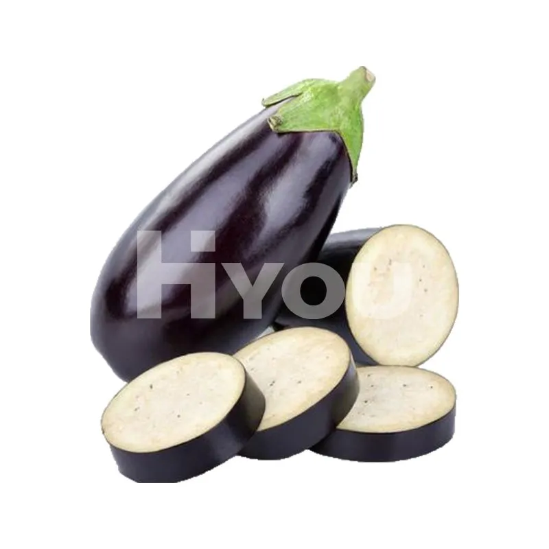 Fresh Aubergine ~ 新鮮茄子