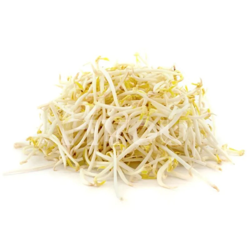 Fresh Bean Sprout 400g ~ 新鮮芽菜 400g