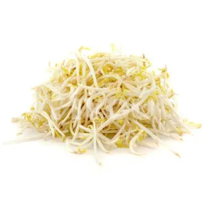Fresh Bean Sprout 400g ~ 新鮮芽菜 400g