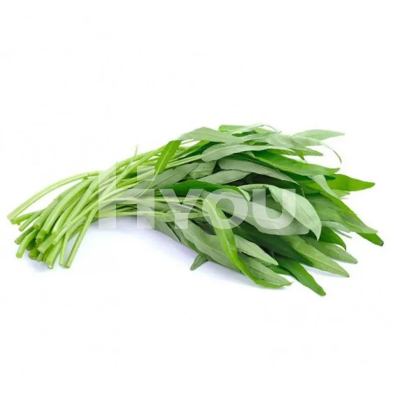 Fresh Chinese Morning glory 200g ~ 新鮮通菜200g