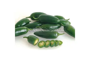 Fresh Jalapeno