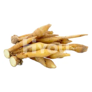 Fresh Kaempfer / Fingerroot 100g ~ 新鮮泰國沙姜 100g