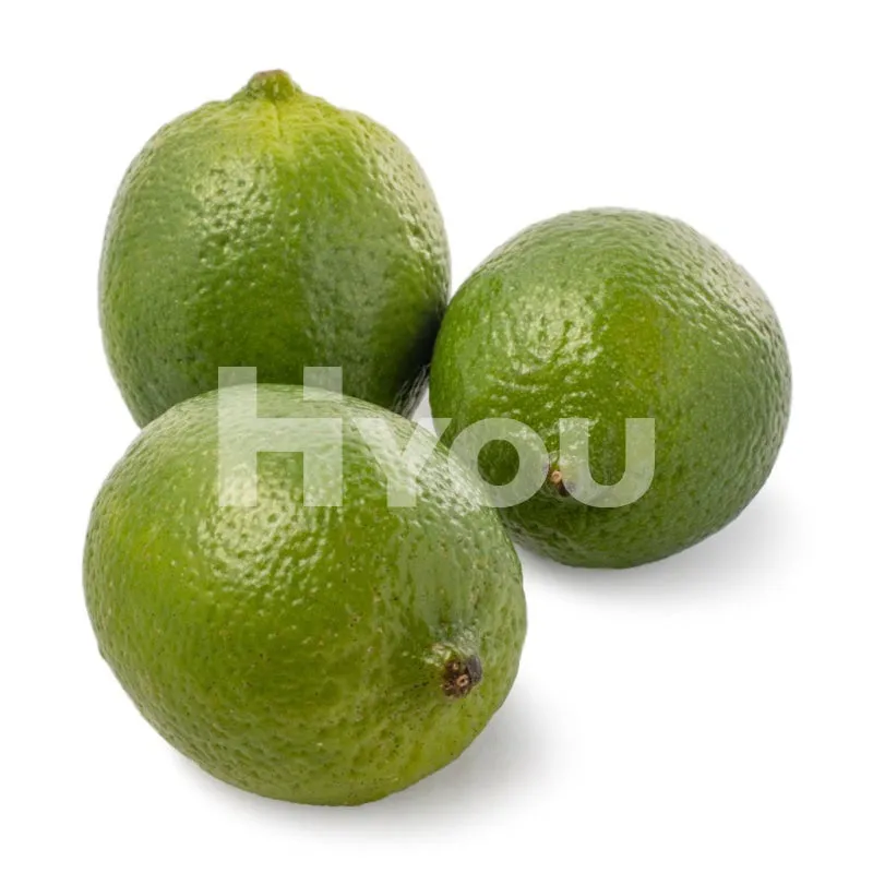 Fresh Lime (Pc) ~ 新鮮青檸 (粒)