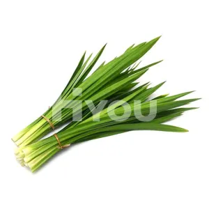 Fresh Pandan Leaf 100g ~ 新鮮香蘭葉 100g