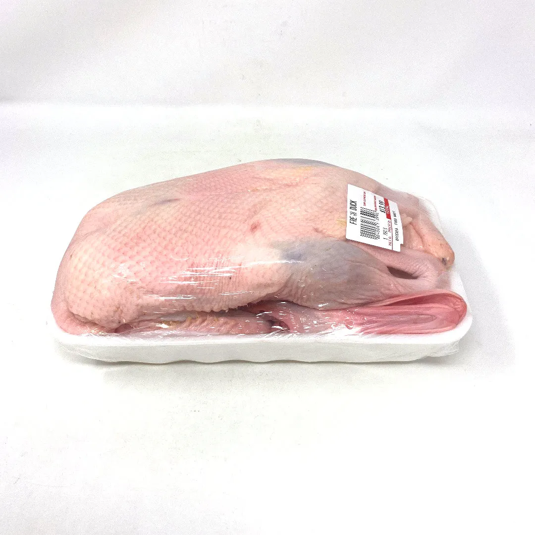Fresh Young Duck