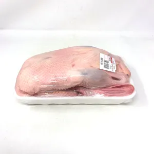 Fresh Young Duck