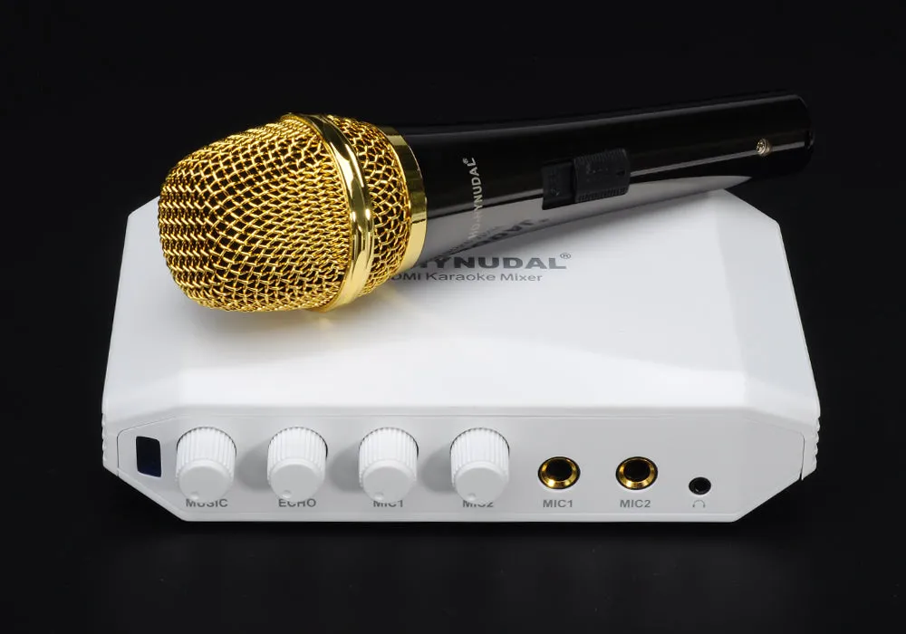 HD-Hyundal HDMI Karaoke Mixer - Dual Microphone Input, Echo Effect, Individual Volume Controls