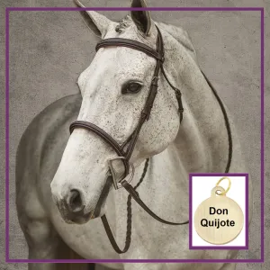 HDR Pro Stress Free Fancy Stitched Padded Bridle   Free Name Tag