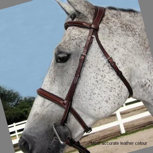 HDR Pro Stress Free Fancy Stitched Padded Bridle   Free Name Tag