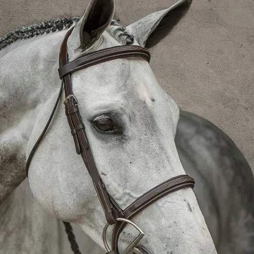 HDR Pro Stress Free Fancy Stitched Padded Bridle   Free Name Tag