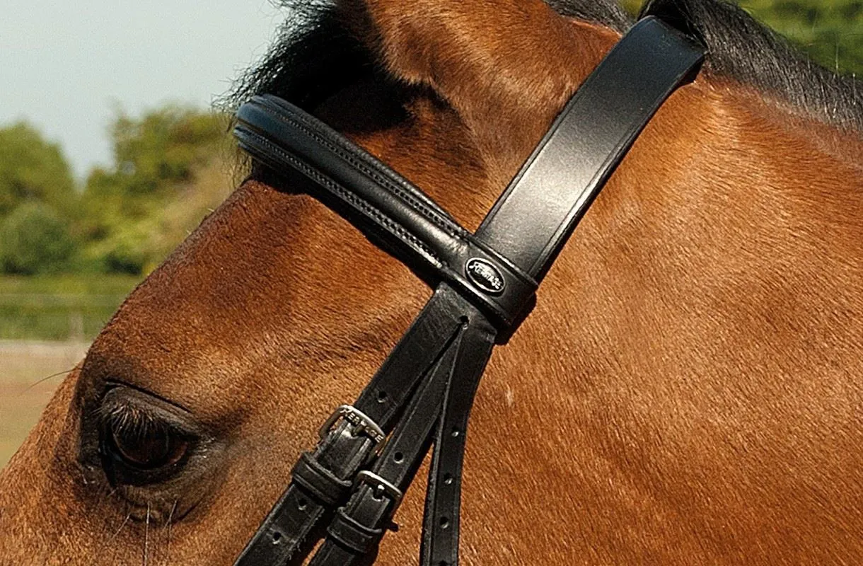 Heritage Plain Bridle