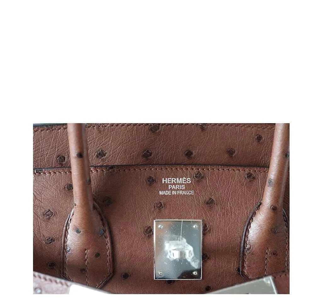 Hermès Birkin 35 Ostrich Etrusque Bag PHW